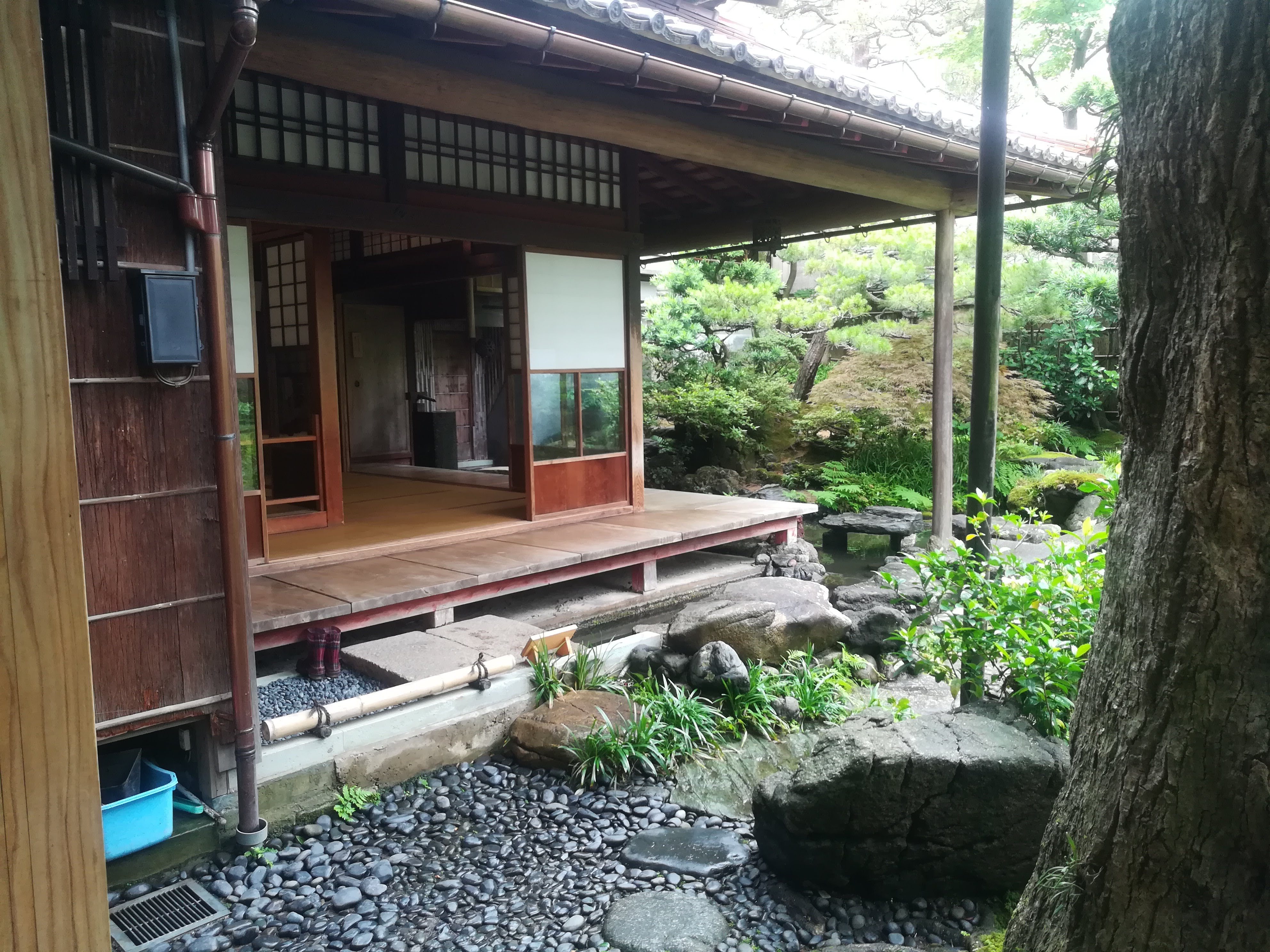 庭へと開かれた日本家屋の縁側。木の床と緑がつながる穏やかな住まい